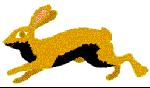 [running hare icon]